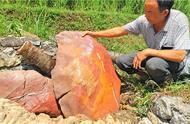 贵州独山的奇石爱好者发现了紫金石，这是一种优质的制砚石料